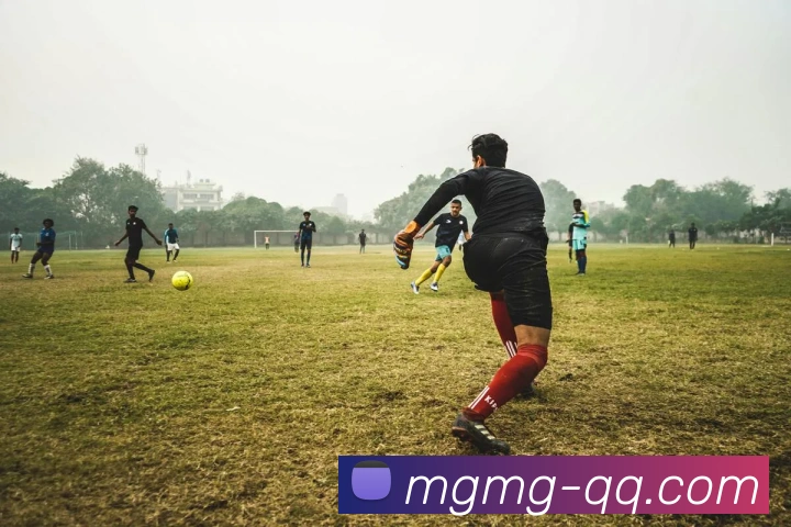 五大联赛的幕后英雄走进球场志愿者聆听他们与足球的温情故事